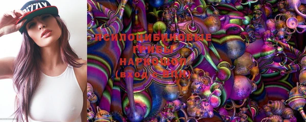 бутират Баксан